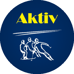 Adult Ski Lessons for First Timers from Skischule Aktiv Wildschönau