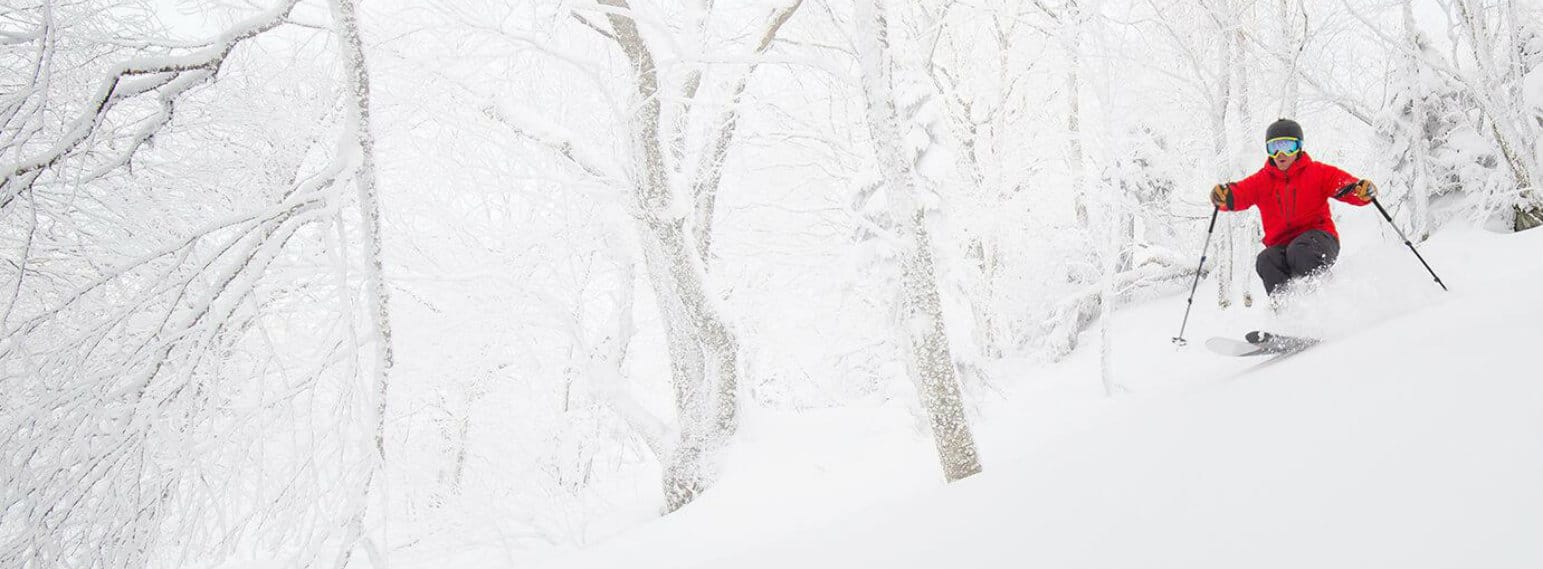 Jay Peak Ski Resort USA Tree Skiing