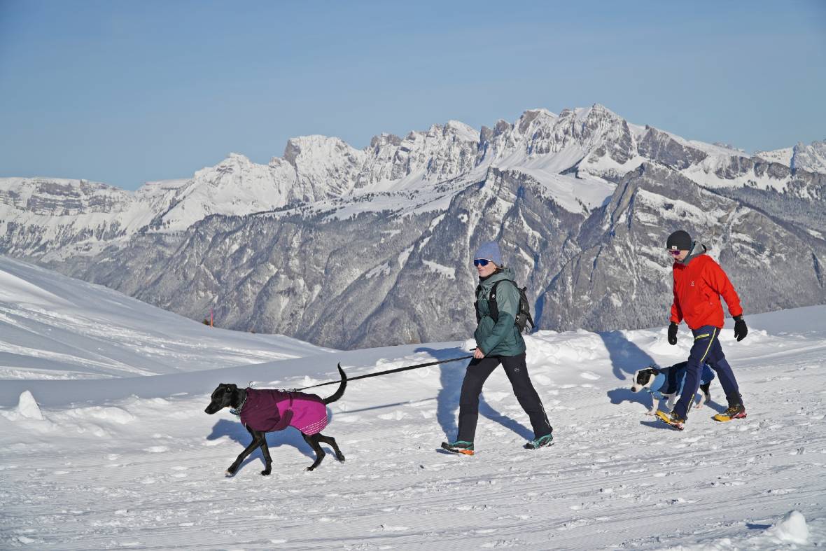 Winterwalking Pardiel-Laufböden in Pizol