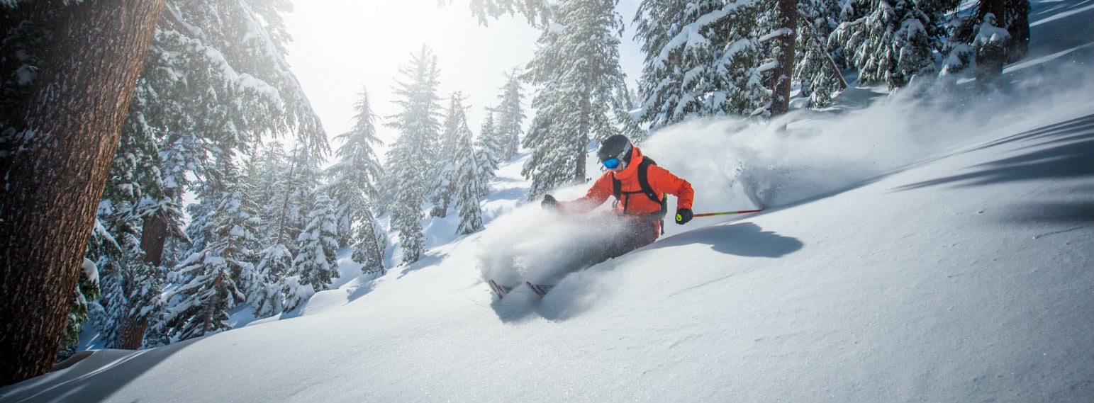 Kirkwood Ski Resort Skier Powder Trees