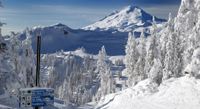 Mount Baker Ski Resort 660X360