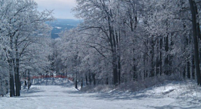 Elk Mountain Beginner Skiing 660X260