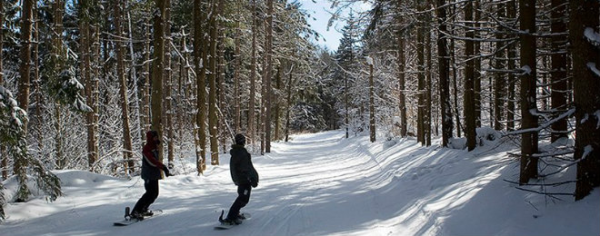 Greek Peak Beginner Skiing