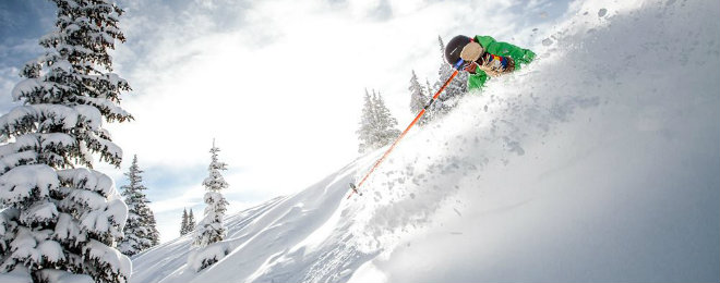 Vail Expert Skiing 660X260