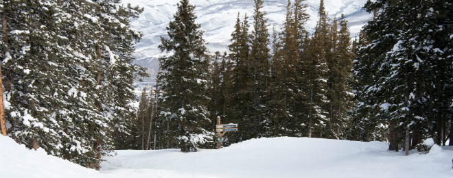 Beaver Creek Beginner Skiing 660X260